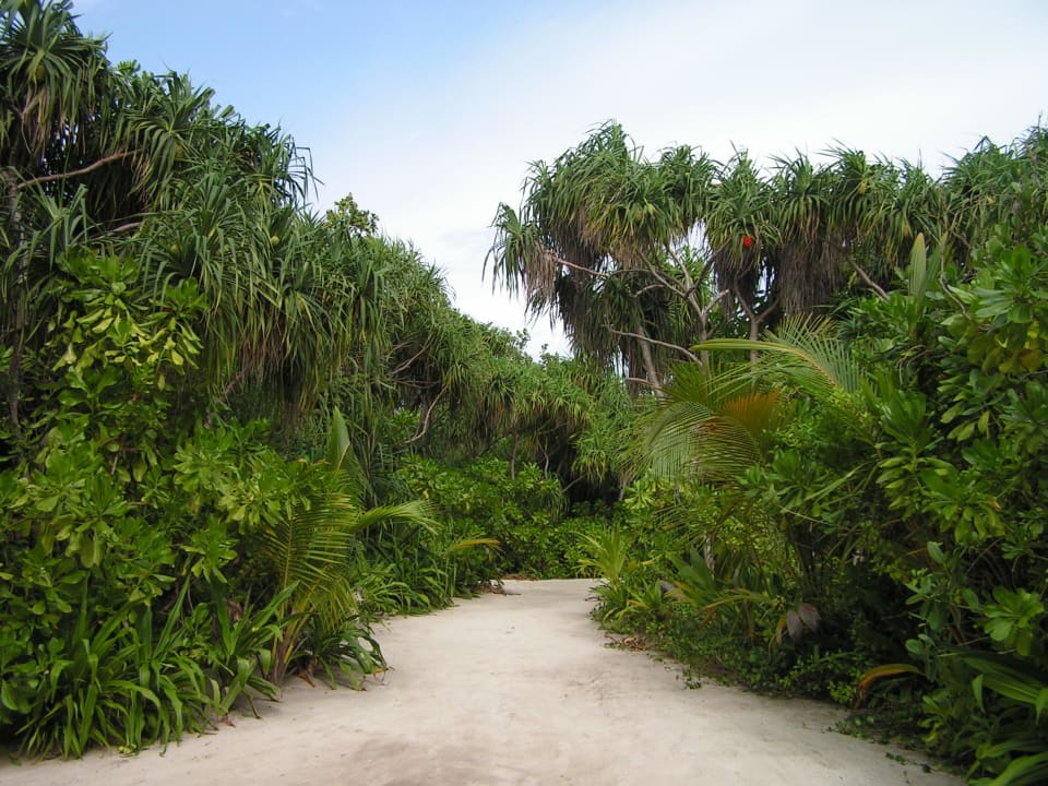 Inselweg Kuredu Island Resort & Spa