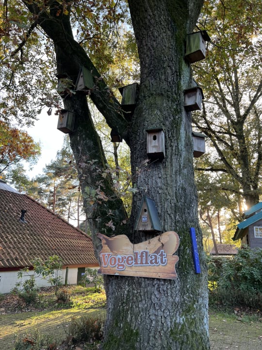 Gartenanlage Ferienpark Landal De Lommerbergen