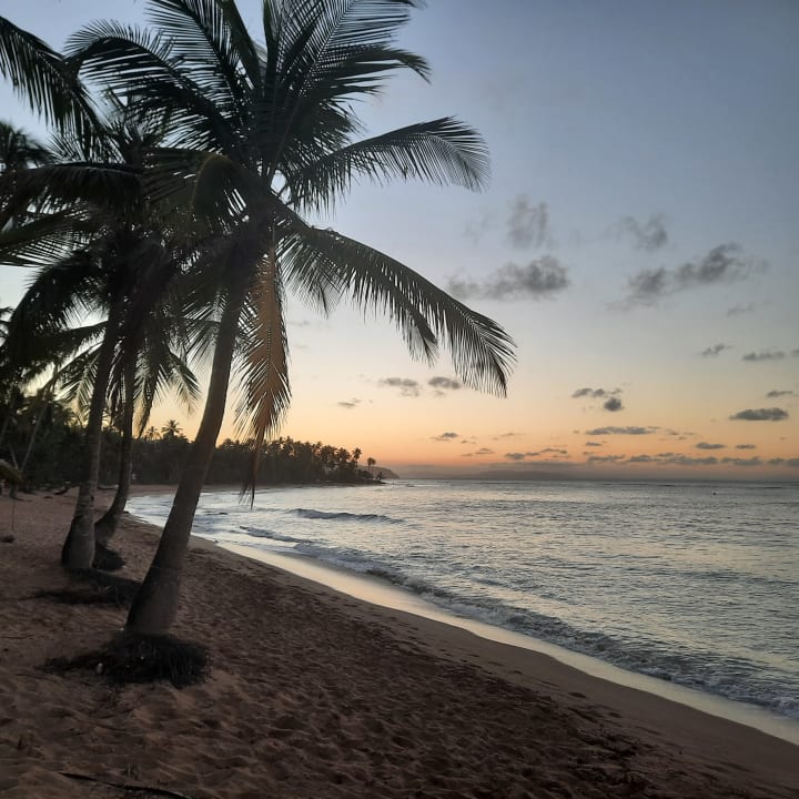 Strand Viva V Samana by Wyndham – Adults Only