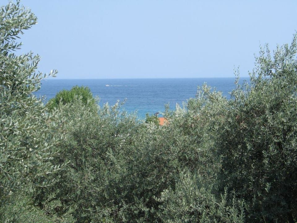 Ausblick aufs Meer Hotel Alexis Villas