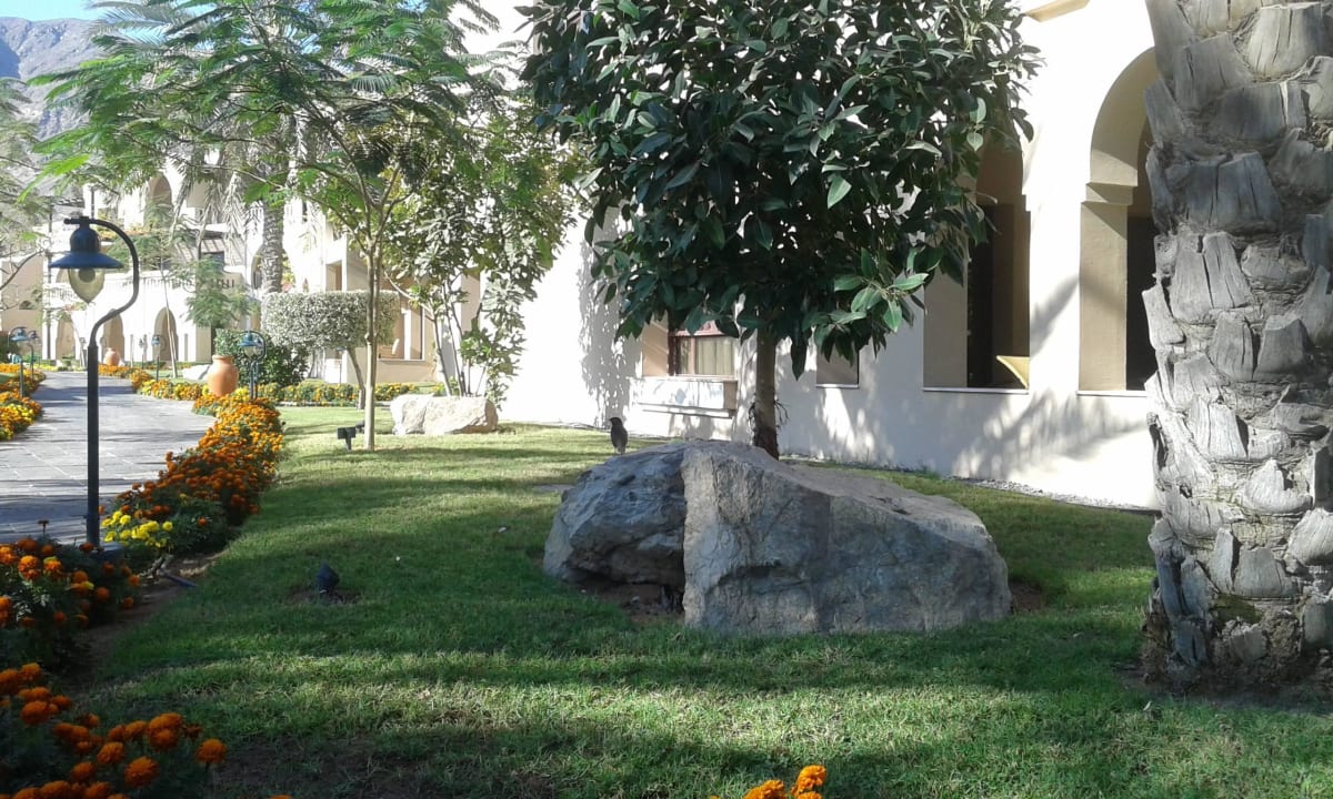 Hotel Iberotel Miramar Al Aqah Beach Resort Miramar Al Aqah Beach Resort