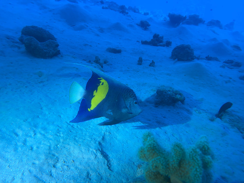 Strand Ghazala Beach