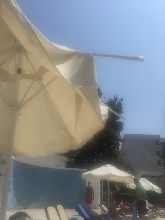 Pool Asteria Collection Side