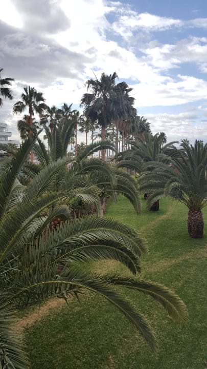 Aus dem Zimmer Hotel Riu Palace Tenerife