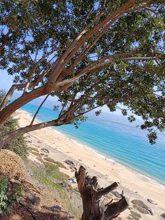 Strand Fuerteventura Princess