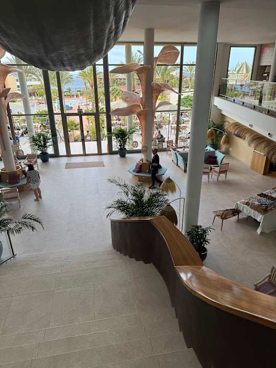 Lobby Iberostar Waves Gaviotas Park