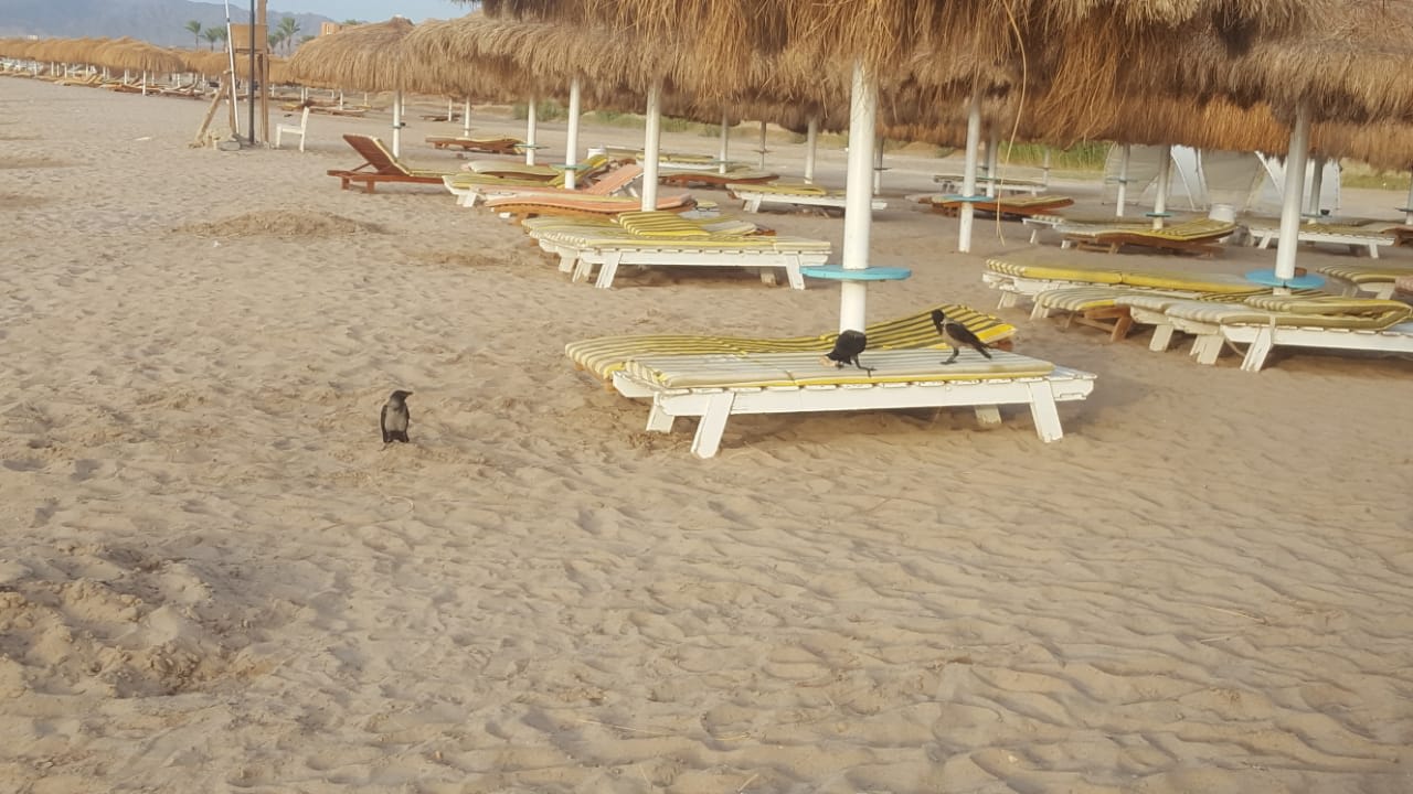 Strand Sentido Caribbean World Soma Bay