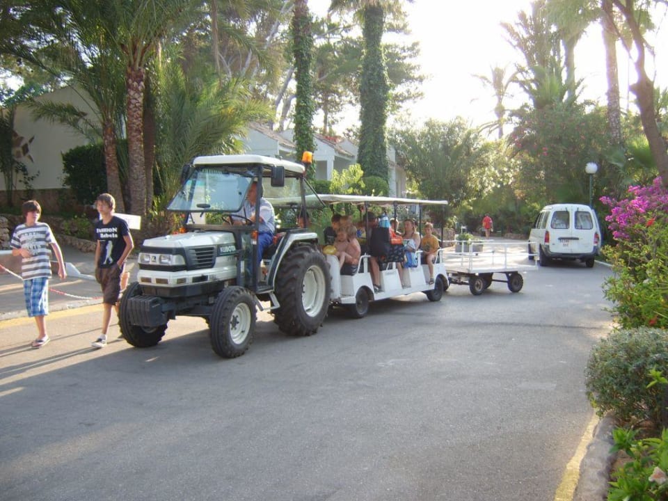 Bimmelbahn  Flipflop Cala Romantica