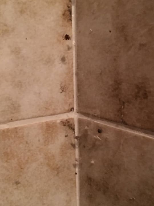 Die Ecken im Badezimmer  Pension May