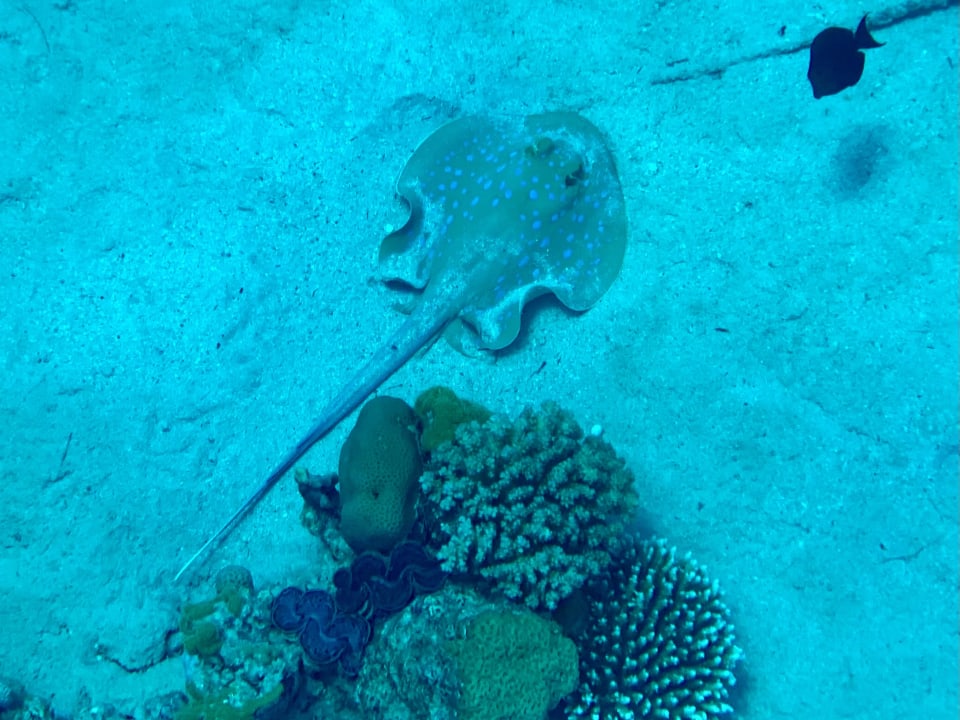 Sport & Freizeit Grand Makadi