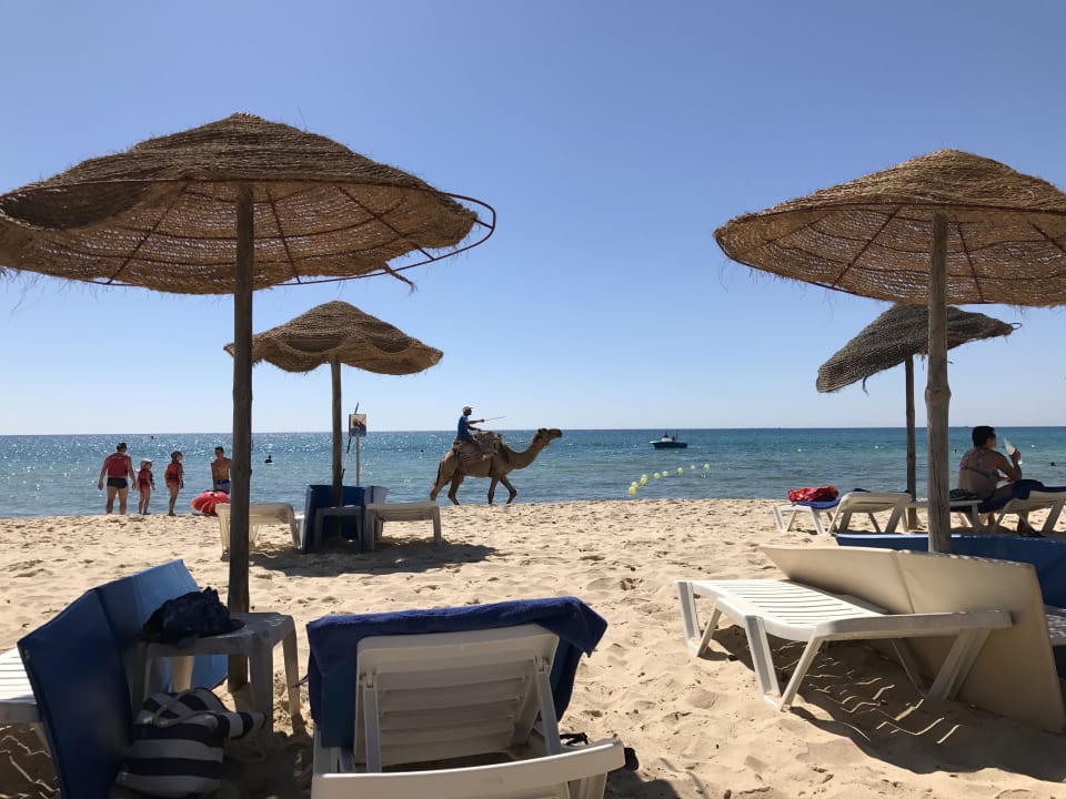 Strand TUI MAGIC LIFE Africana
