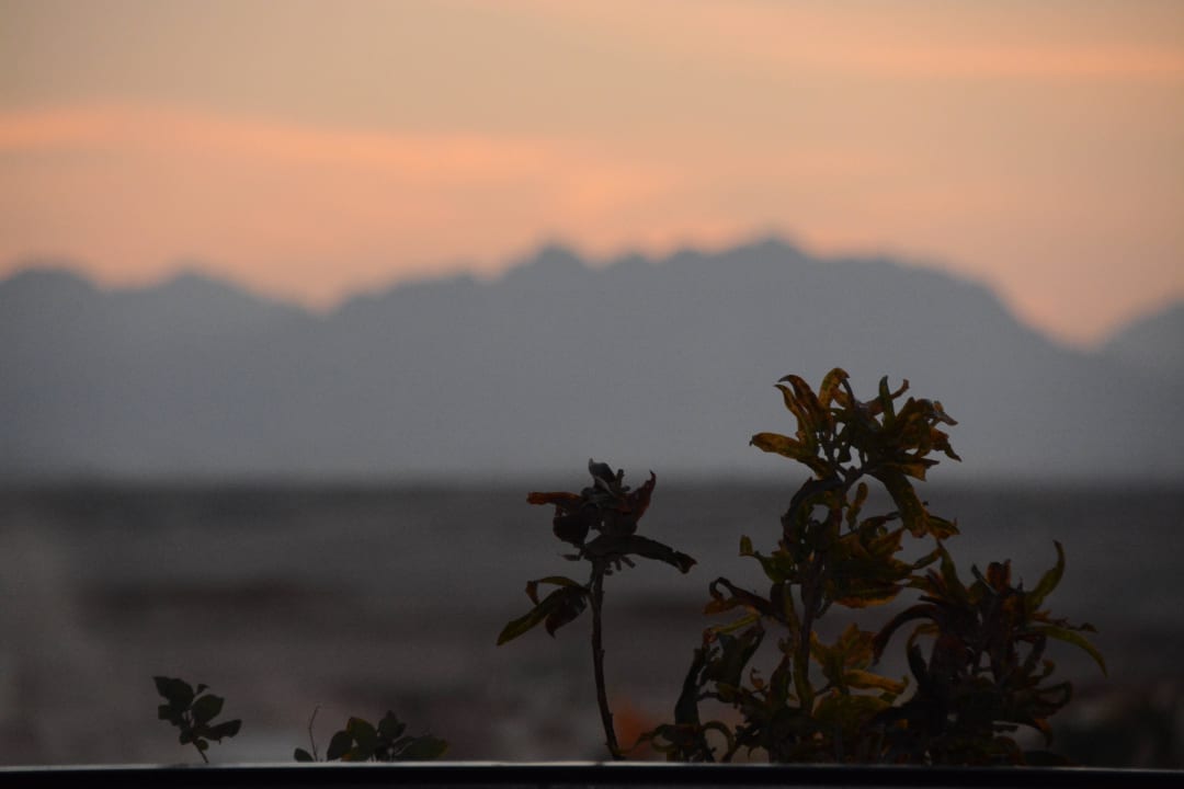 Sonnenuntergang Steigenberger Aqua Magic