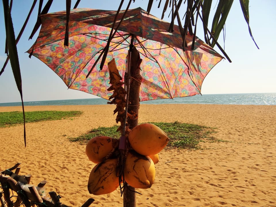 Strand Tangerine Beach Hotel