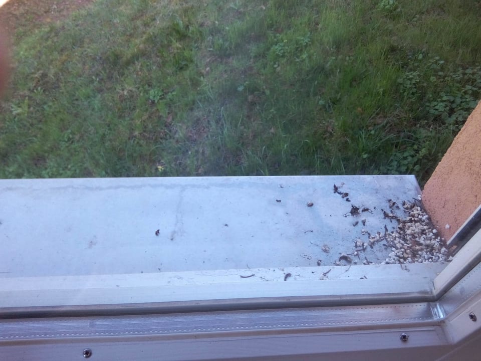 Fenstersims Korridor  Vitalhotel Quellengarten