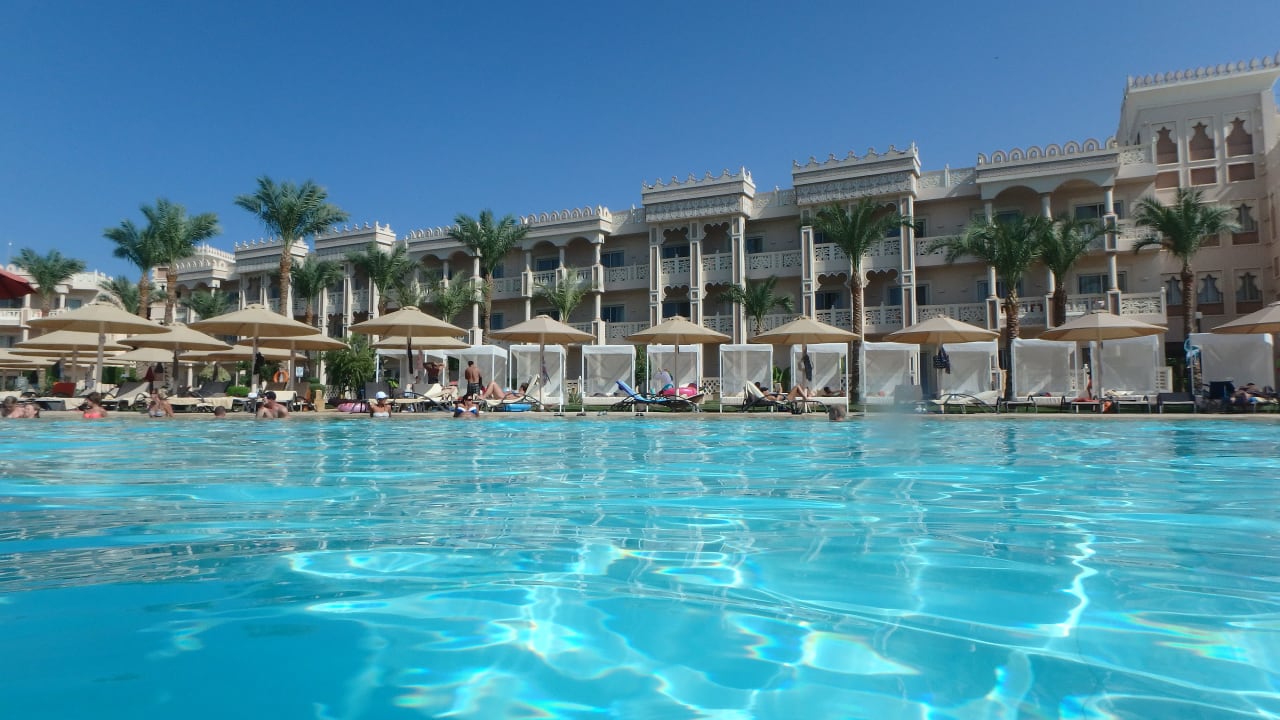 Pool Pickalbatros Palace Resort