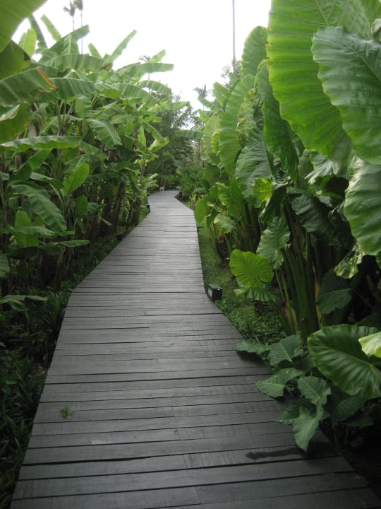 Weg zur Straße Bangsak Village