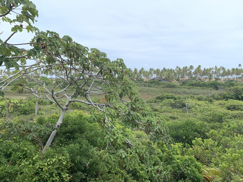 Ausblick Grand Palladium Imbassai Resort & Spa