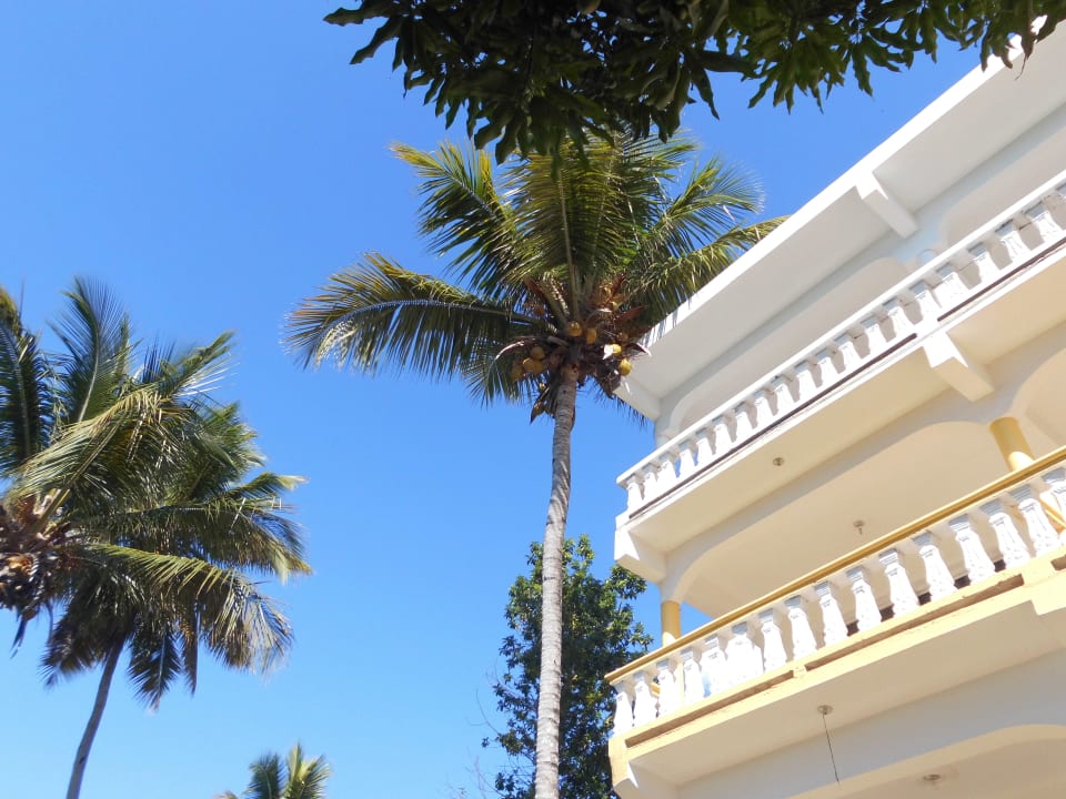 Ausblick Ozeanic Caribbean Hotel Apartment