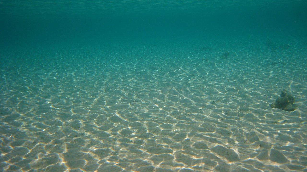 Glasklar- Hausriff Vilamendhoo Vilamendhoo Island Resort & Spa