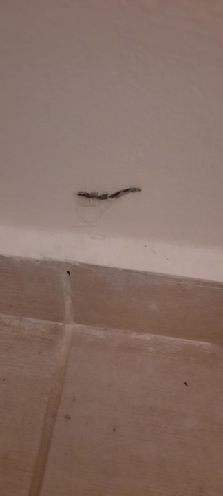 Zimmer El Karma Aqua Beach Resort