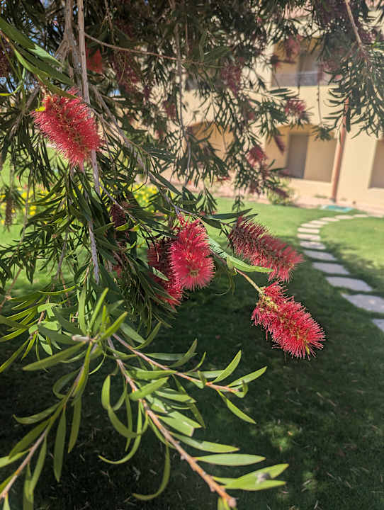 Außenansicht Cleopatra Luxury Resort Makadi Bay