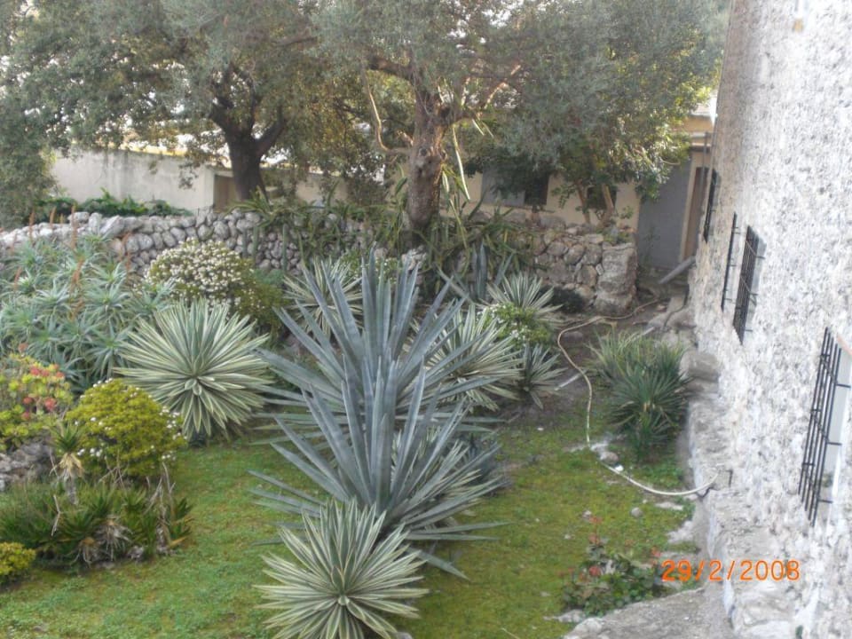 Hinter dem Haus Finca Can Guillo