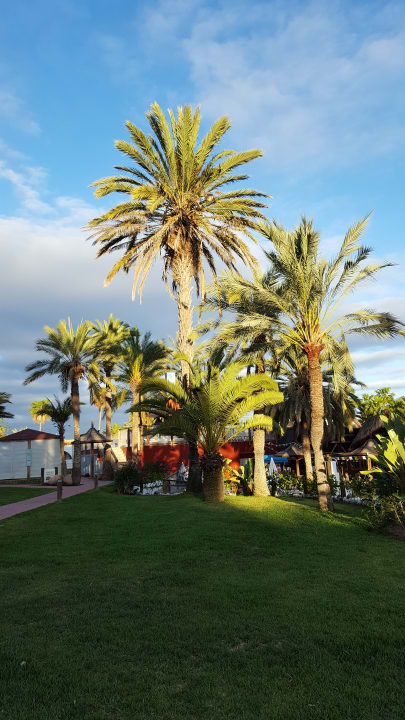 Gartenanlage HL Miraflor Suites Hotel