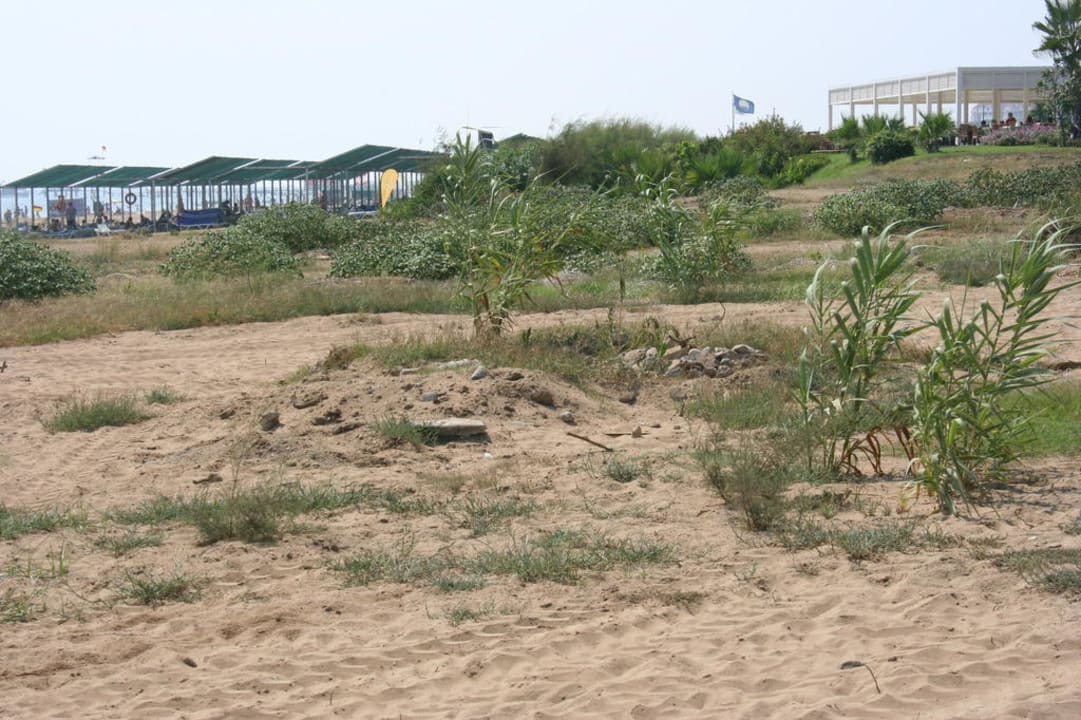 Garten Bella Resort & Spa