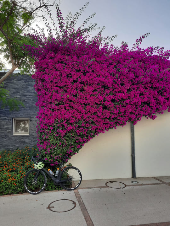 Sport & Freizeit ROBINSON QUINTA DA RIA