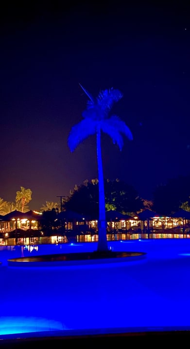 Pool ROBINSON SOMA BAY