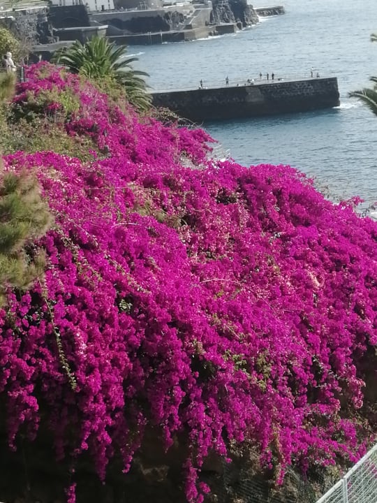 Außenansicht Hotel Baia Azul