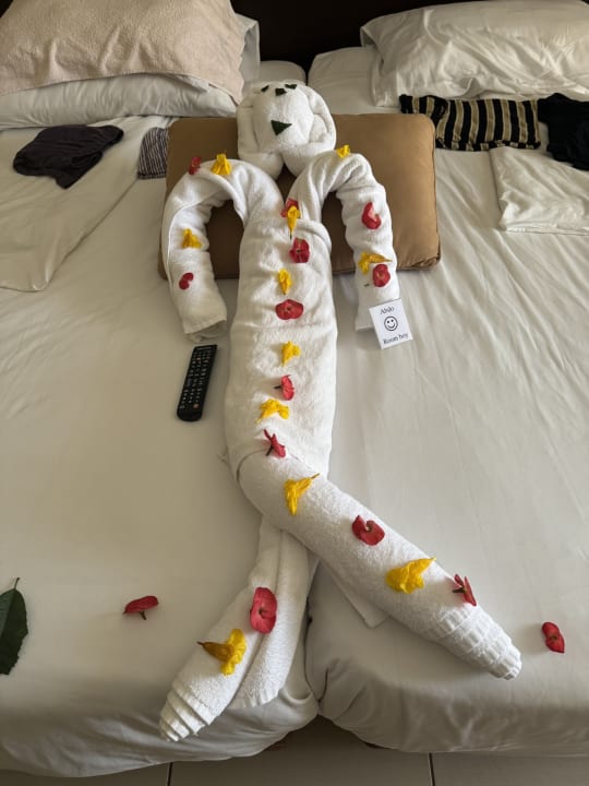 Zimmer Jaz Dar EL Madina