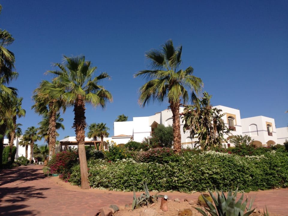 Außenansicht Amphoras Blu