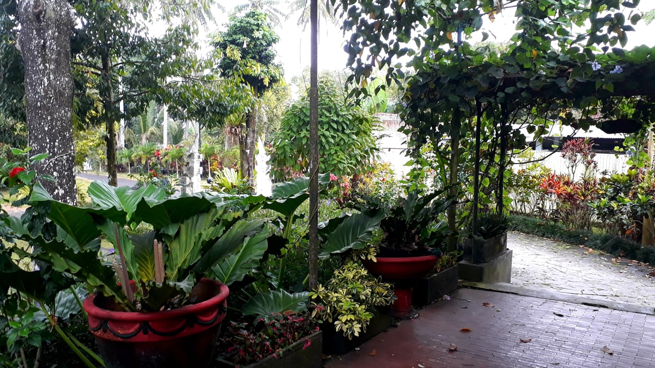 Gartenanlage Margo Utomo Hill View Resort