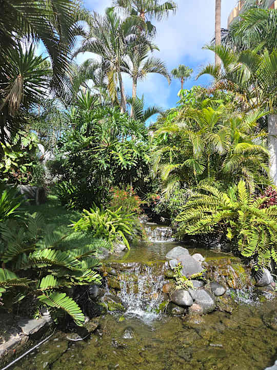 Gartenanlage allsun Hotel Lucana