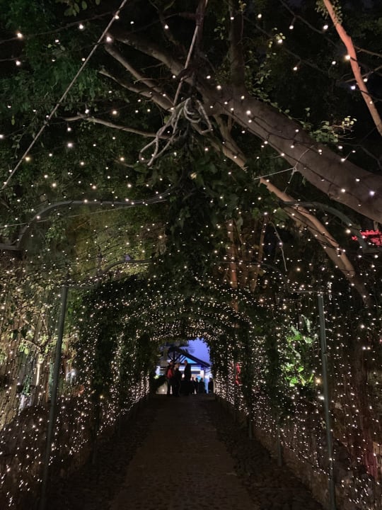 Gartenanlage Nobu Hotel Marbella - Adults only