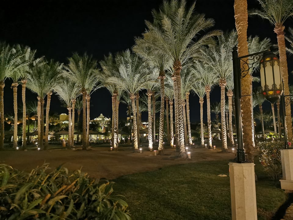 Gartenanlage Makadi Palace