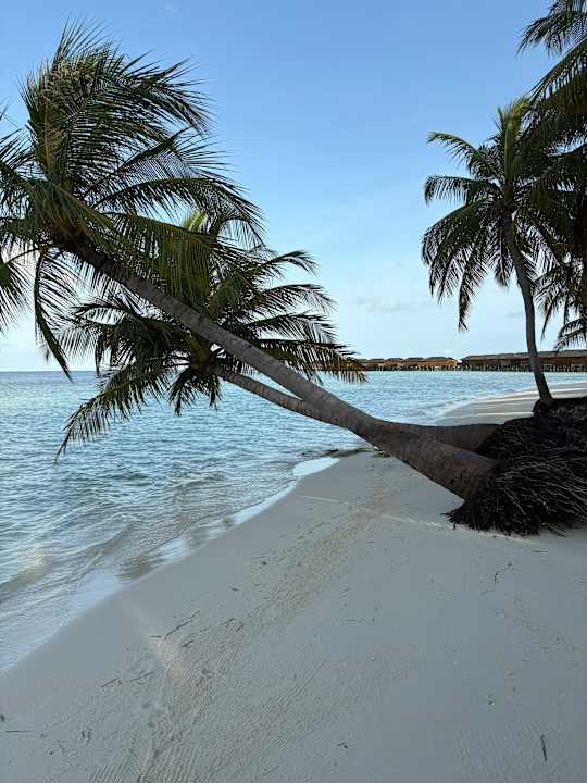 Strand Vilamendhoo Island Resort & Spa
