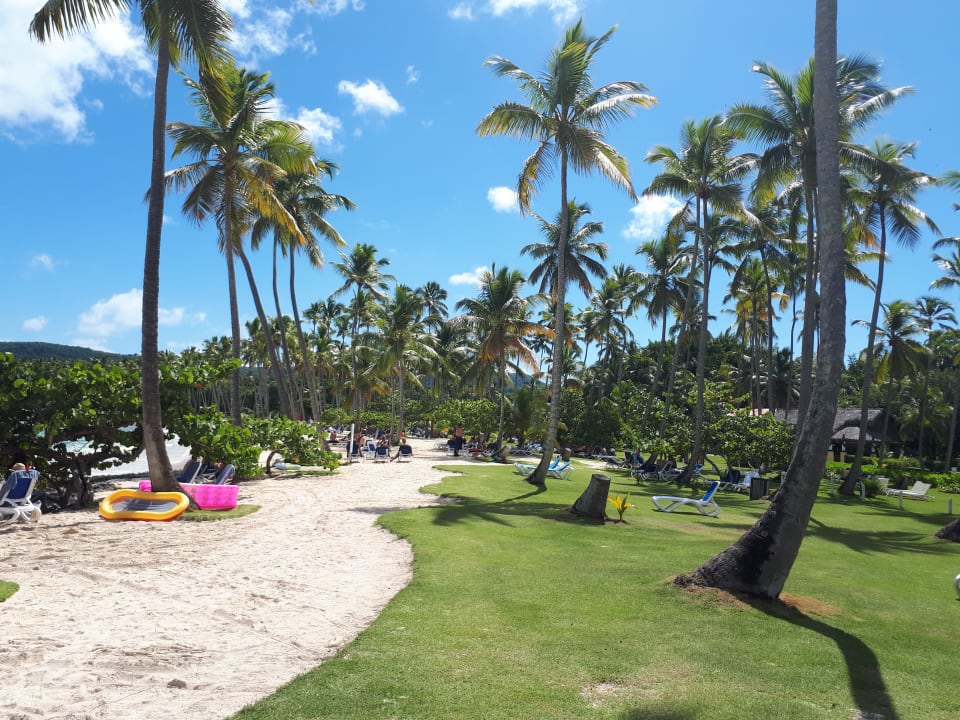 Gartenanlage Wyndham Alltra Samana