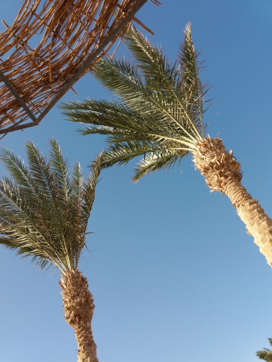 Sonstiges Royal Star Beach Resort