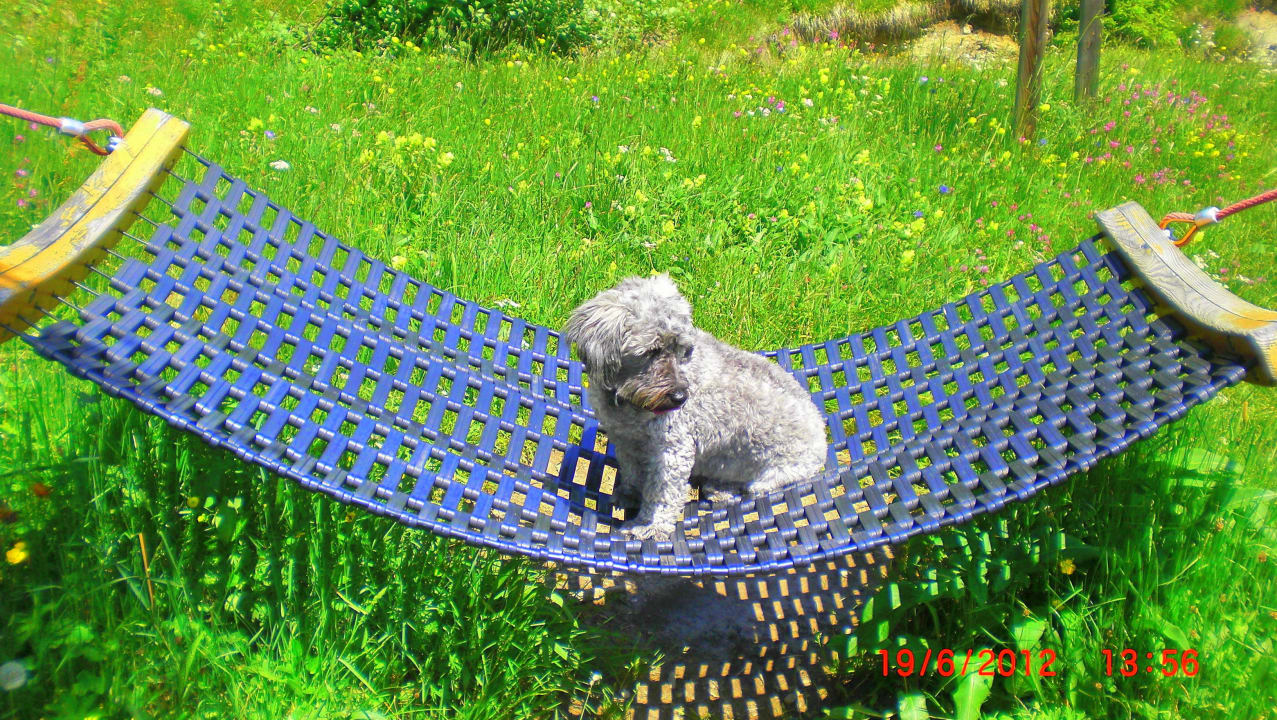 Booma auf Kompadell VAYA Terrazena Serfaus