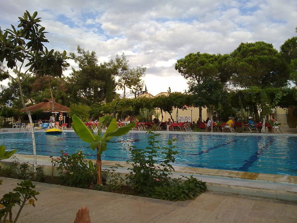 Blick auf den Pool Hotel Mari