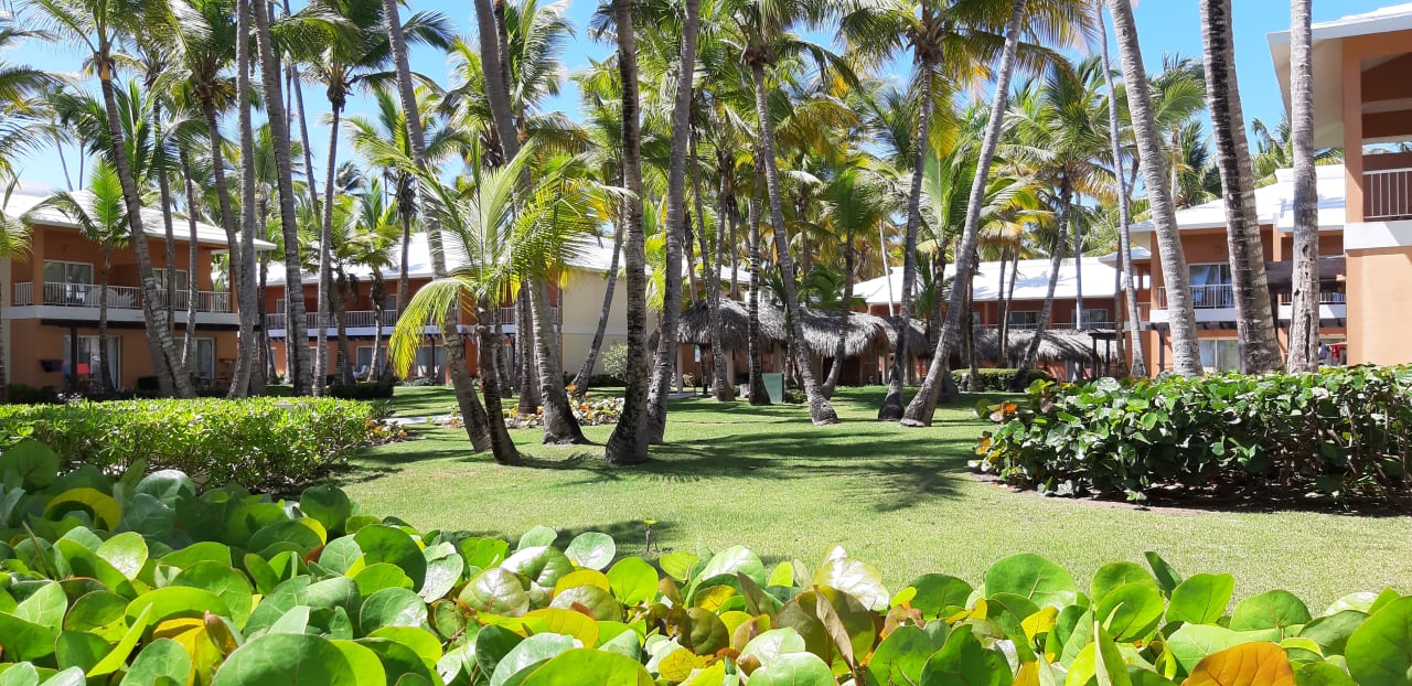 Gartenanlage Hotel Grand Palladium Palace Resort, Spa & Casino