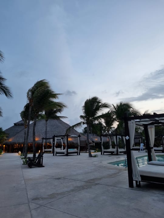 Pool Akumal Bay Beach & Wellness Resort