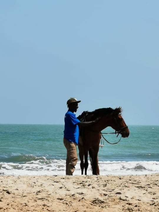 Strand TUI BLUE Tamala