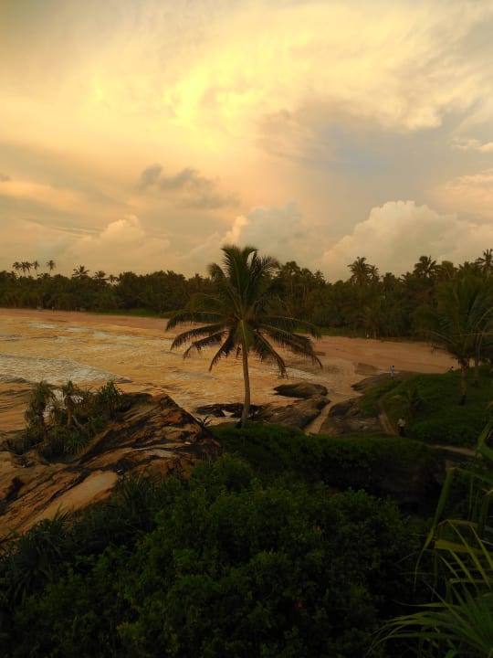 Ausblick vom Zimmer Hotel Saman Villas