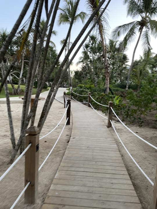 Gartenanlage Secrets La Romana Resort & Spa - Adult Only