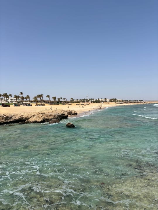 Strand Steigenberger Resort Alaya Marsa Alam - Red Sea - Adults only