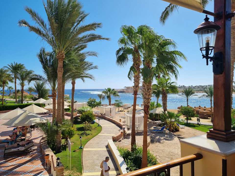 Ausblick Steigenberger Coraya Beach - Adults only