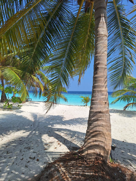 Strand Adaaran Select Meedhupparu Island Resort - Premium All Inclusive